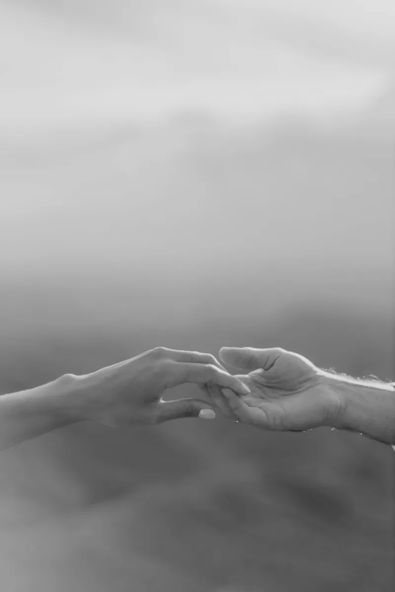 Green cardstock box containing white, beige, and brown cards.